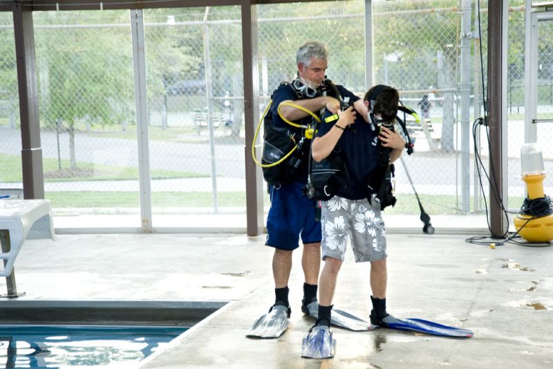 Family Matters - Dive In!