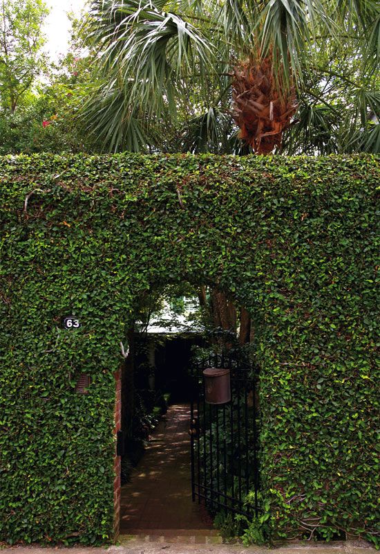 Evergreen Haven