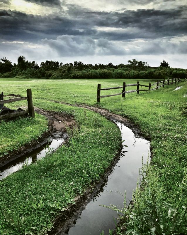 Water Tracks by Jackie Levesque  {Amateur category}  - The backyard of a home under construction on Sullivan’s Island after a heavy spring rain