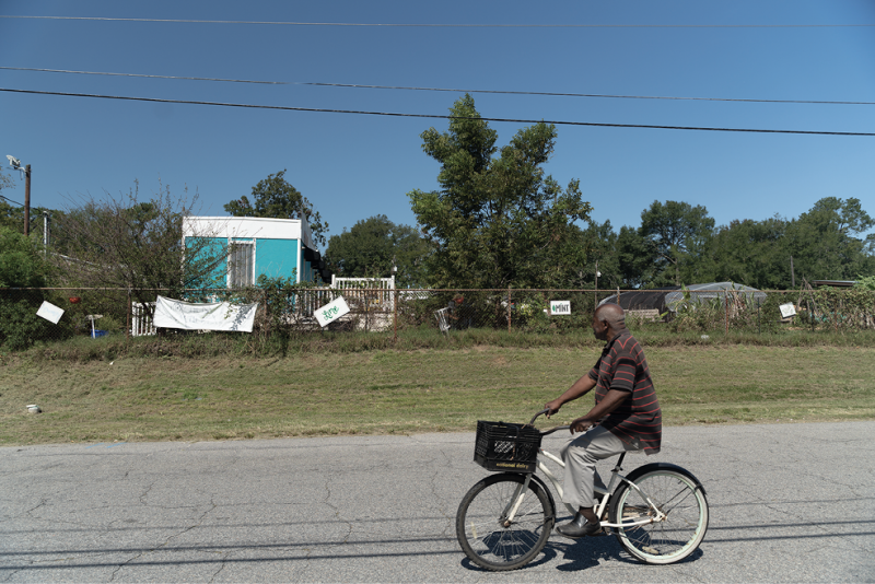 The Cultivator