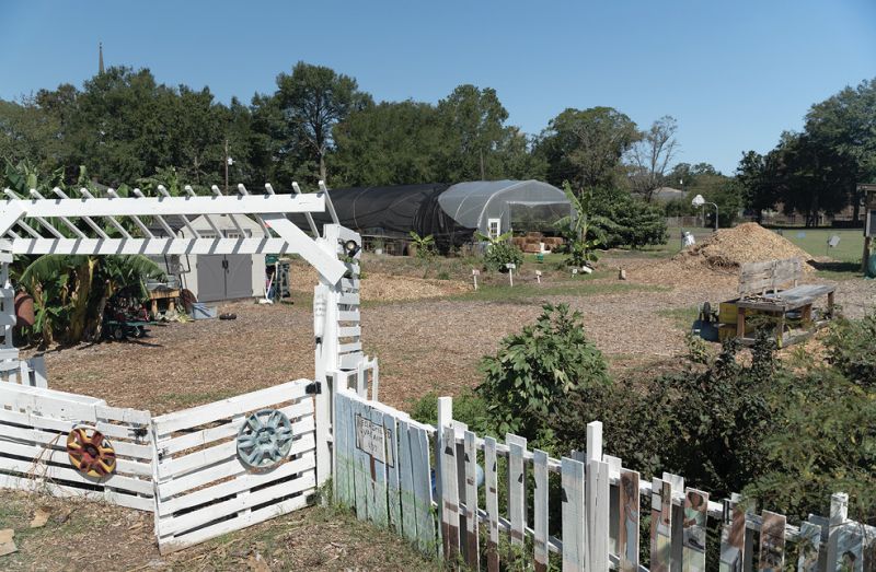 The Cultivator