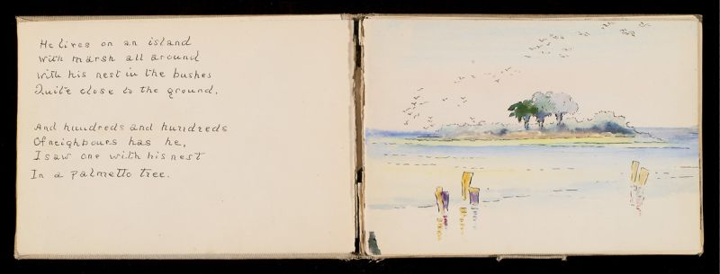 Pages from a children’s book with text and watercolor illustrations created by Alice as a birthday gift for her niece Caroline Ravenel Mason Smith in 1912 (courtesy of Caroline Prouty Smith)