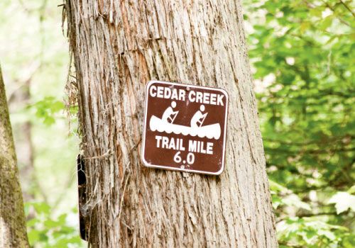  Congaree National Park
