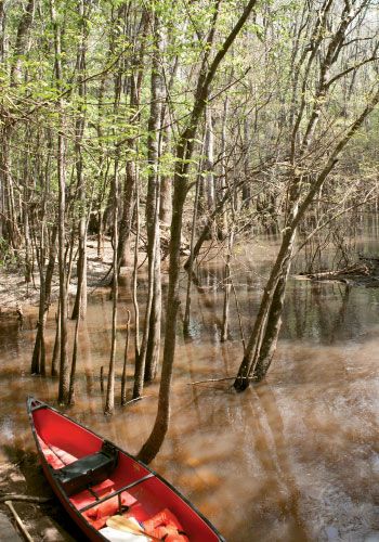  Congaree National Park