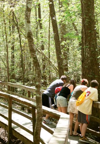  Congaree National Park