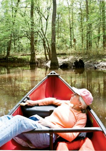  Congaree National Park