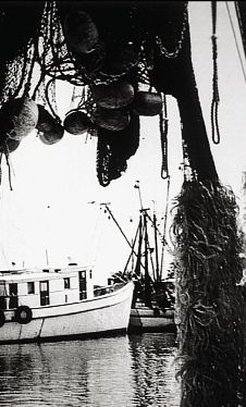 A trawler on Shem Creek