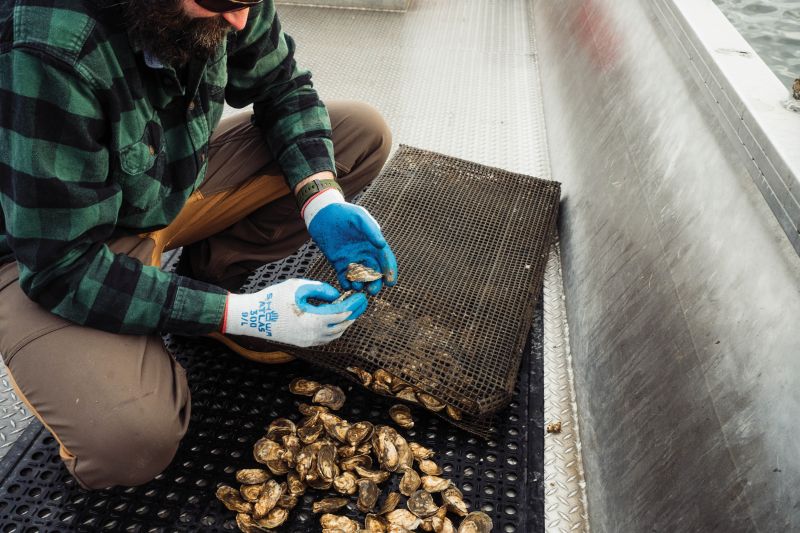 A Briny Business