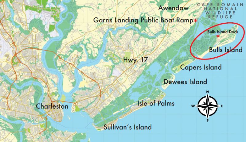 Taking Bulls Island By Storm