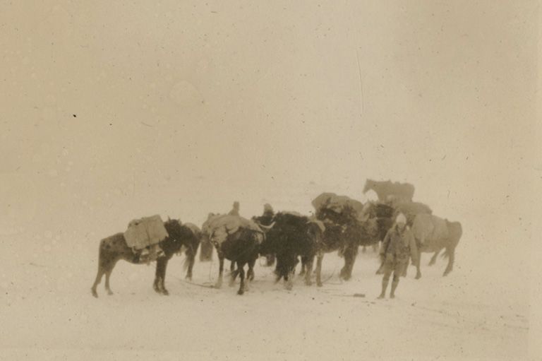 Camping in Alaska, 1926